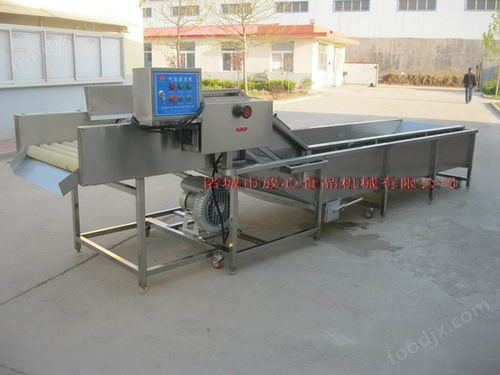 诸城放心机械大姜清洗机洗的干净效果好